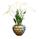 Dendrobium Orchid - Luxury Furniture Mercato Interiors