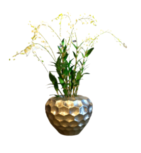 Dendrobium Orchid - Luxury Furniture Mercato Interiors