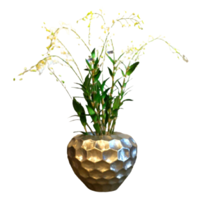 Dendrobium Orchid - Luxury Furniture Mercato Interiors