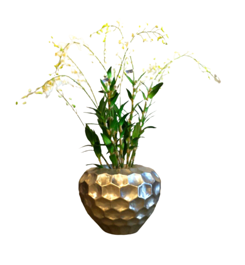 Dendrobium Orchid - Luxury Furniture Mercato Interiors