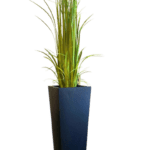 Gladiola Grass - Luxury Furniture Mercato Interiors