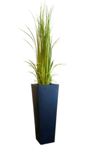 Gladiola Grass - Luxury Furniture Mercato Interiors