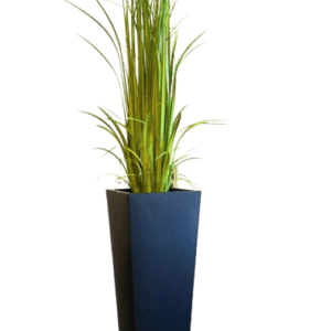 Gladiola Grass - Luxury Furniture Mercato Interiors