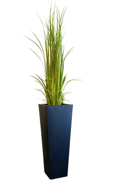 Gladiola Grass - Luxury Furniture Mercato Interiors