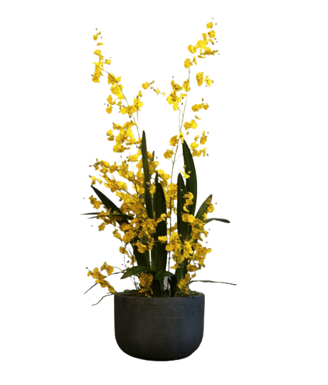 Oncidium Orchid - Luxury Furniture Mercato Interiors