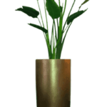Traveller Palm Bronze - Luxury Furniture Mercato Interiors