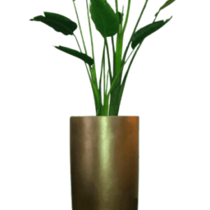 Traveller Palm Bronze - Luxury Furniture Mercato Interiors
