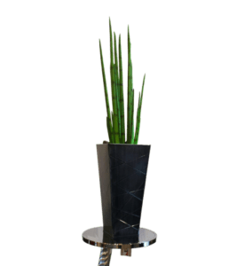 Snake Grass Table-top - Luxury Furniture Mercato Interiors