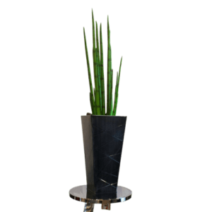 Snake Grass Table-top - Luxury Furniture Mercato Interiors