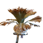 Stag Horn Fern - Luxury Furniture Mercato Interiors