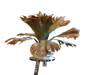 Stag Horn Fern - Luxury Furniture Mercato Interiors