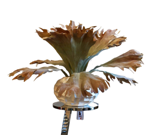 Stag Horn Fern - Luxury Furniture Mercato Interiors