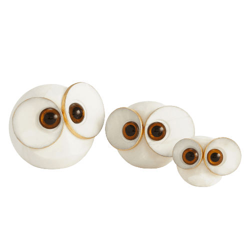 Big_Eyed_Owl-removebg-preview - Luxury Furniture Mercato Interiors