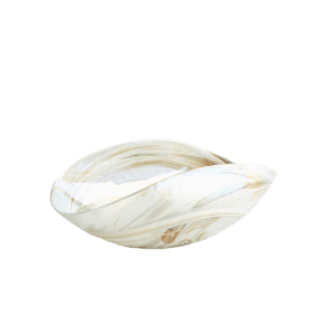 Maura_Bowl-removebg-preview - Luxury Furniture Mercato Interiors